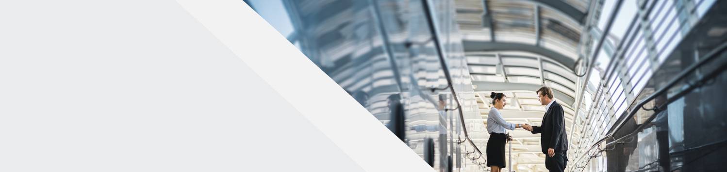  M&A (Fusiones y Adquisiciones)