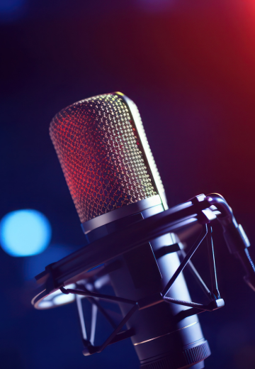 BDO Podcast - Business Voices